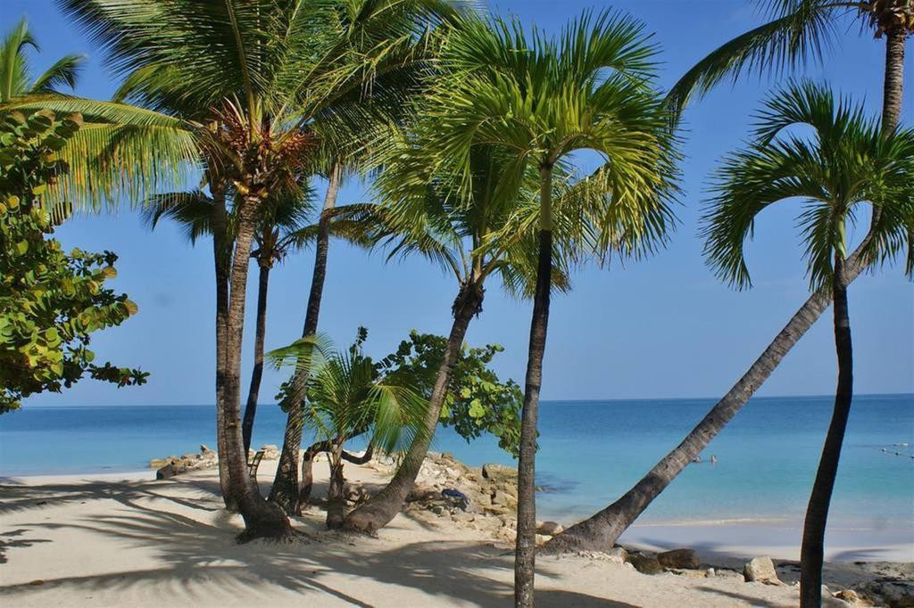 Siboney Beach Club セントジョンズ エクステリア 写真